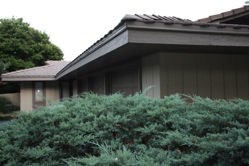 Landscaping around garage