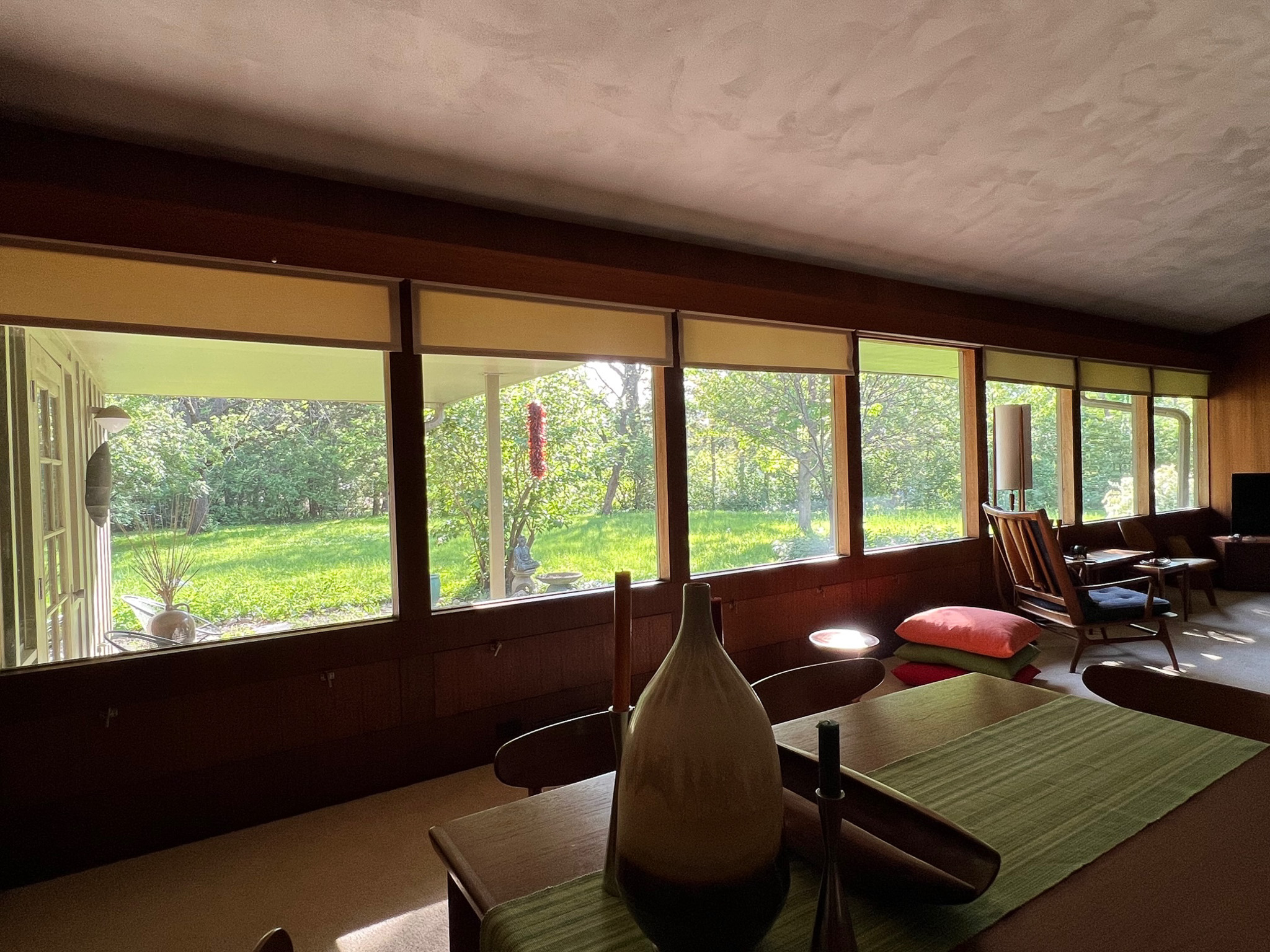 South-facing windows in springtime